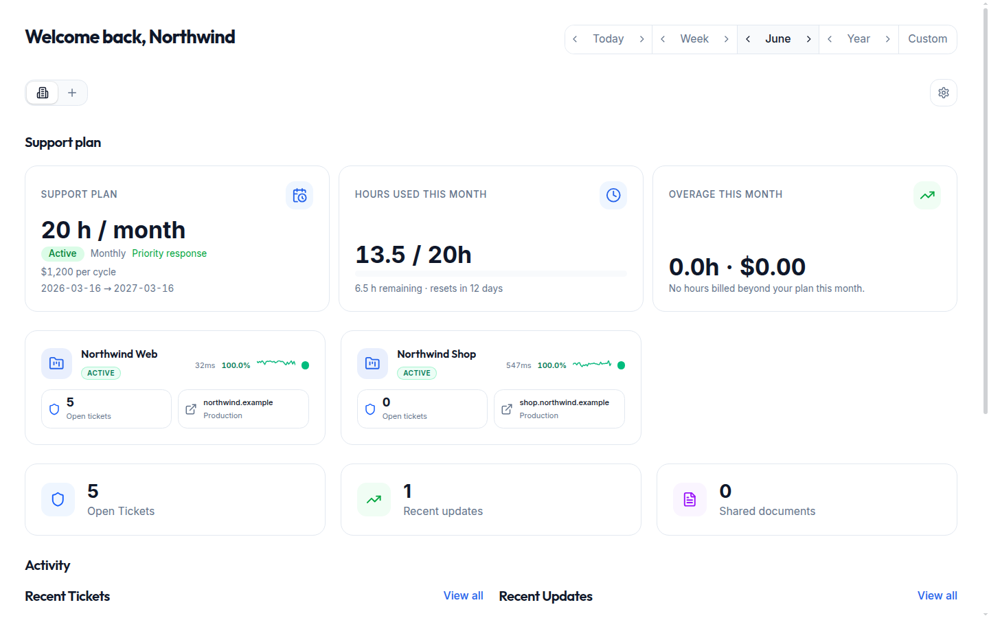 Client portal dashboard showing projects, support plan, and recent activity
